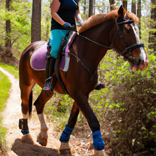 Explore the breathtaking trails of North Carolina with a skilled horse and rider duo.