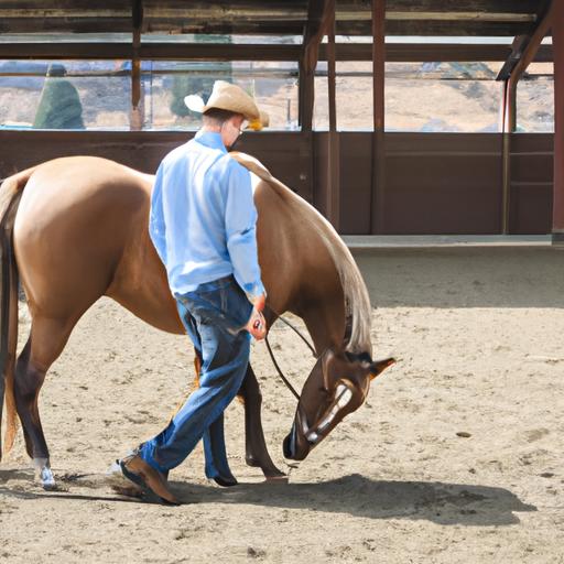 Putting the knowledge gained from free horse training videos into practice.