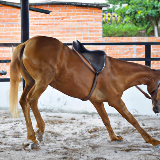 A horse undergoing training sessions with experienced trainers at a horse care organization