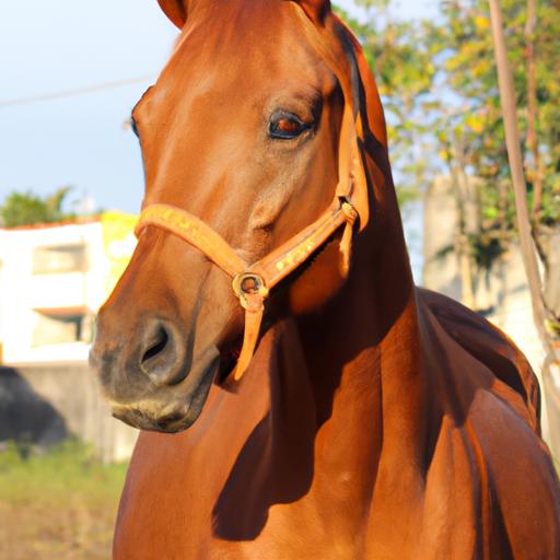 A Venezuelan horse breed representing the rich history and heritage of the region