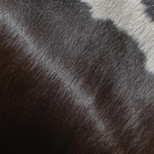 A mesmerizing photo showcasing the distinct vein patterns of a majestic horse breed.