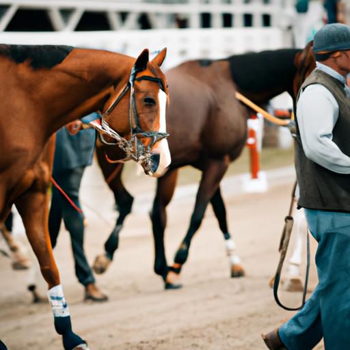 Passionate horse trainers nurturing and developing their runners for success.