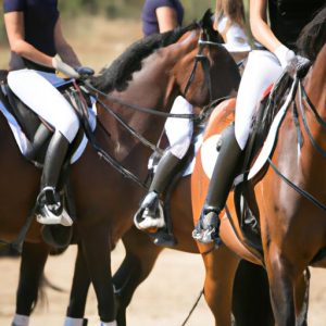 What Is The Easiest Horse Sport