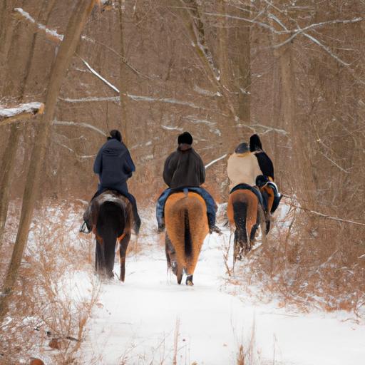 Winter Horse Riding Gear