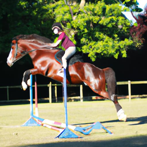 A girl and her spirited horse breed gracefully soaring over a jump, displaying their remarkable teamwork.