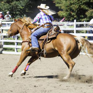 Youtube Working Cow Horse Competition