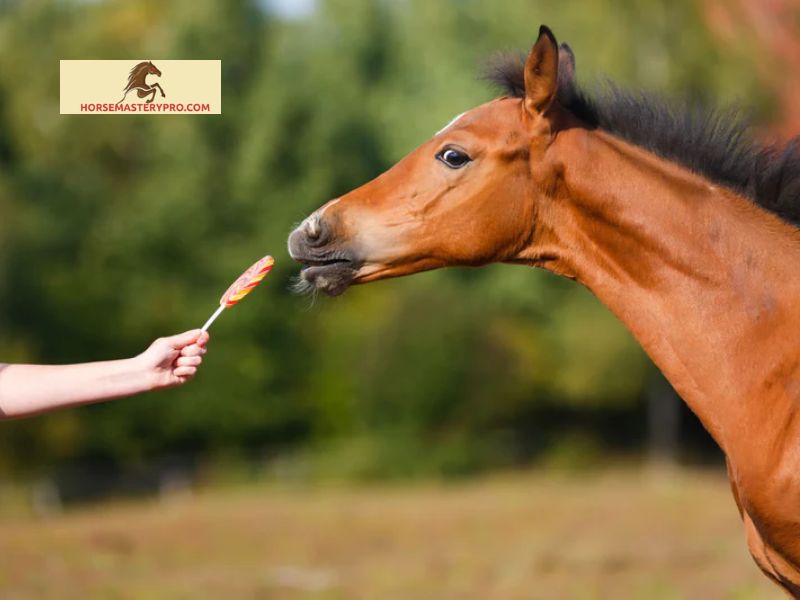 Do Horses Like Peppermint: Unveiling Equine Preferences