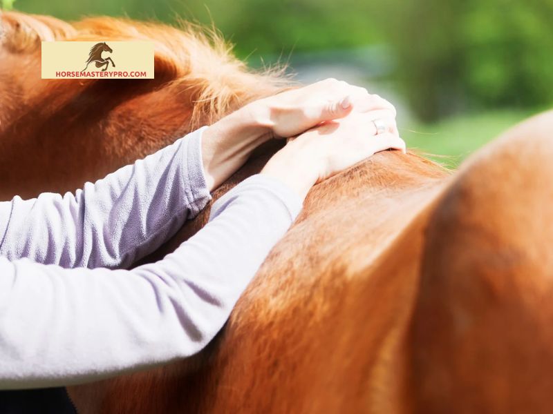 Understanding Wobbler Syndrome in Horses