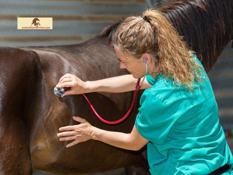 Common Symptoms of Hindgut Ulcers in Horses