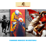 famous horses in history