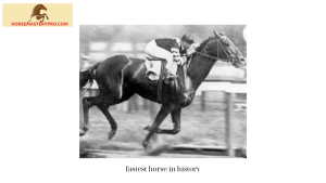 fastest horse in history